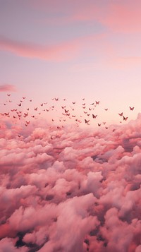 Butterflys in pink aesthetic sky outdoors nature cloud.