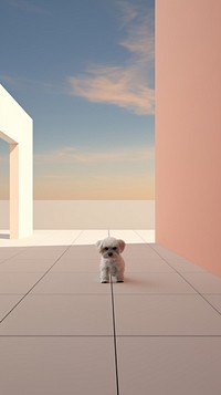 Puppy floor pet architecture.