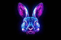 Neon rabbit light animal purple.