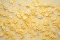 Old pastel yellow paper backgrounds flower petal.