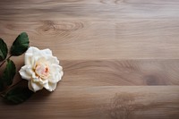 Wood and flower backgrounds flooring hardwood.