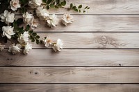 Flower wood backgrounds plant.