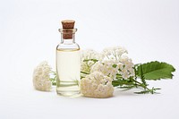 Yarrow flower with yarrow tincture in a glass bottle perfume plant white.