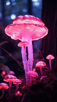 Pink mushroom neon fungus agaric plant.