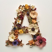 Alphabet A font flower wreath plant.