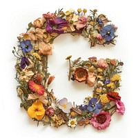 Alphabet G font flower wreath art.