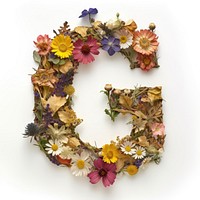 Alphabet G font flower wreath plant.