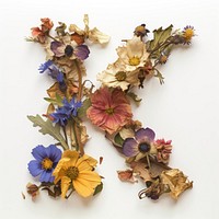 Alphabet K font flower art wreath.