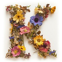 Alphabet K font flower art plant.