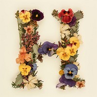 Alphabet H font flower plant art.