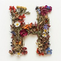 Alphabet H font flower art wreath.