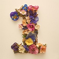 Alphabet Number 1 font flower art plant.