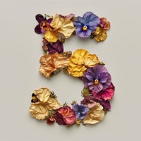 Alphabet Number 5 font flower art petal.