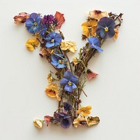 Alphabet Y font flower art plant.