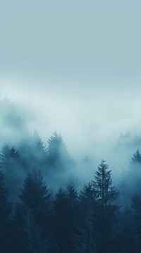 Blue wallpaper forest tree fog.