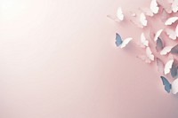 Butterfly background backgrounds outdoors petal.