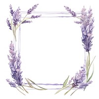 Lavender frame watercolor flower plant white background.