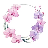 Orchid frame watercolor blossom flower wreath.