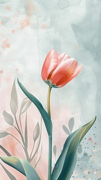 Tulip watercolor wallpaper painting flower plant.