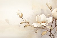 Magnolia watercolor background painting flower plant.