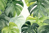 Monstera watercolor background green backgrounds nature.