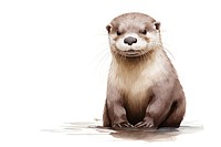 Otter wildlife mammal animal.