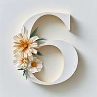 Letter number 6 font flower plant white.