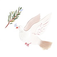 Peace dove holding olive branch animal bird white background.