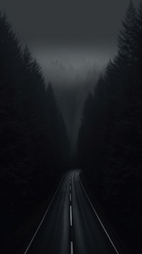 Dark aesthetic road wallpaper highway nature plant.