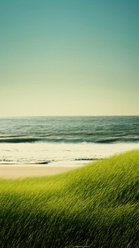 Photography of beach landscape field green.