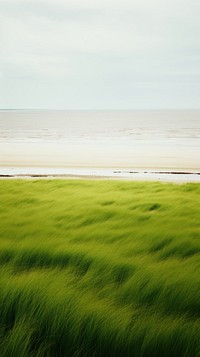 Photography of beach landscape field grassland.