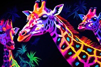 Giraffe purple animal mammal.