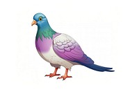 Rock Dove cartoon animal pigeon.