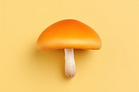 Mushroom mushroom fungus simplicity.
