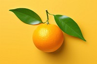 Orange fruit plant food.