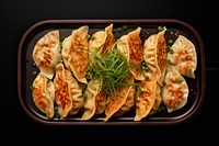 Gyoza dumpling plate food.