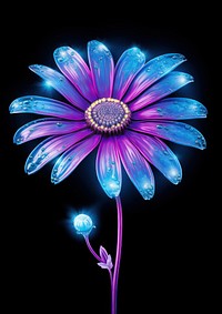 Neon daisy flower violet plant.