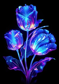 Neon tulip purple light inflorescence.