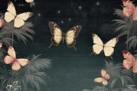 Vintage drawing of butterflys backgrounds animal insect.