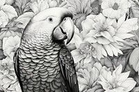 Drawing sketch pattern parrot.