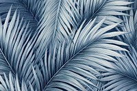 Monotone palm leaves wallpaper pattern backgrounds outdoors texture.