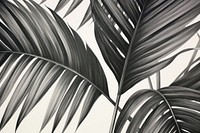Palm leaves pencil sketch drawing backgrounds tropics.