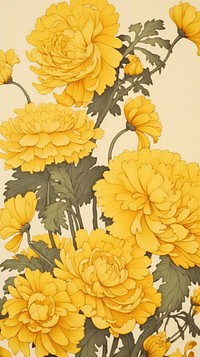 Traditional yellow japanese flowers plant petal inflorescence.