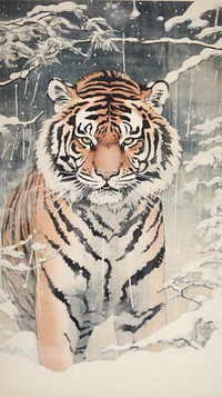 Winter tiger wildlife animal mammal.