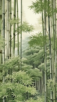 Traditional japanese bamboo forest vegetation plant architecture.