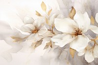 White magnolia watercolor background backgrounds painting blossom.