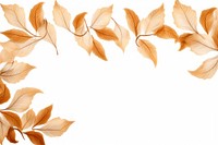 Brown leaf backgrounds pattern plant.