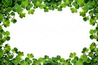 Clover leaf outdoors nature plant.