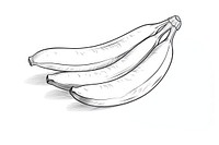 Banana outline sketch drawing food illustrated.