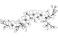 Cherry blossom outline sketch pattern drawing flower.